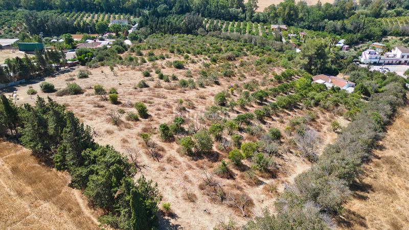 Foto 6bda990a-6bf5-48e1-926d-787b0effb887. Haus mit parking in San Martín del Tesorillo