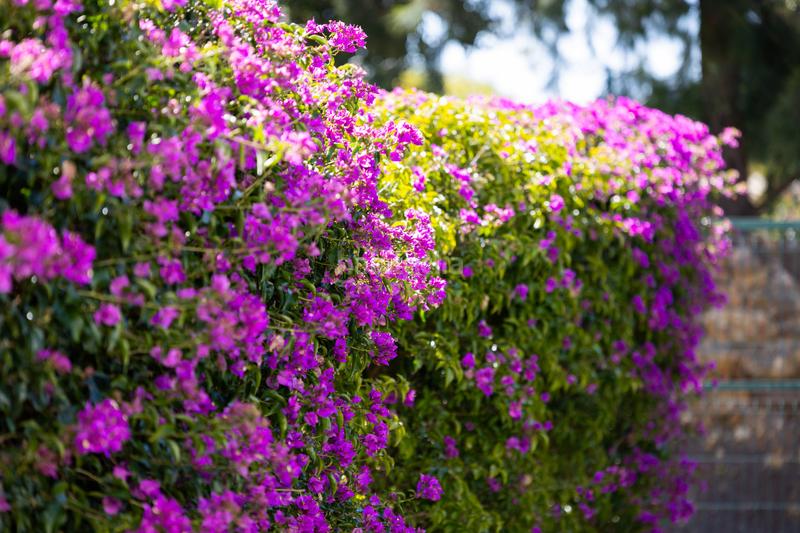 Foto 75bdf831-b22f-4213-84bf-0c1adb226042. Casa aparellada amb calefacció piscina a Chullera Manilva