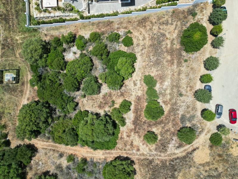 Foto 743bc01c-946d-45dc-b52e-3cad9d019230. Terreny residencial a Sotogrande alto Sotogrande