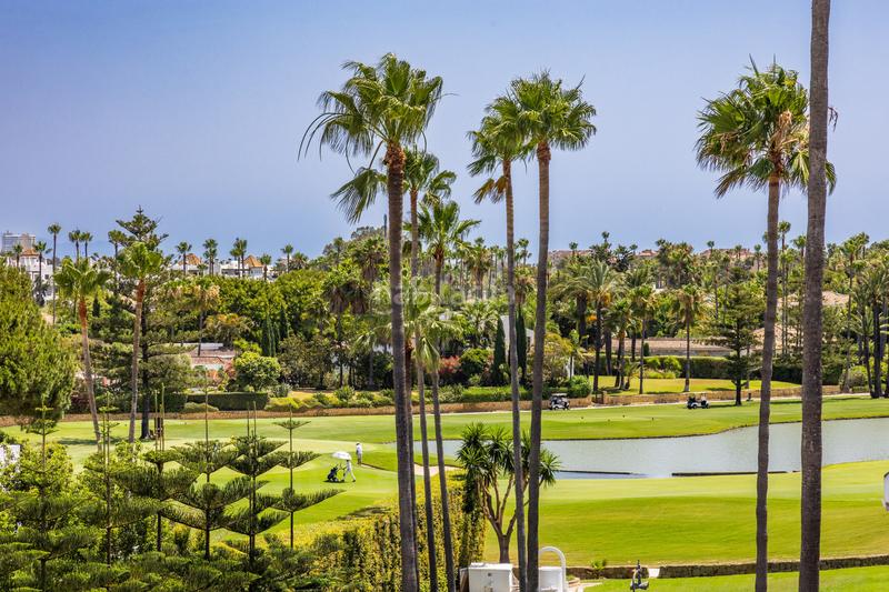 Foto f4be847d-8c42-47a2-b87d-47c0fb6a3ef1. Terreny residencial a Sotogrande alto Sotogrande