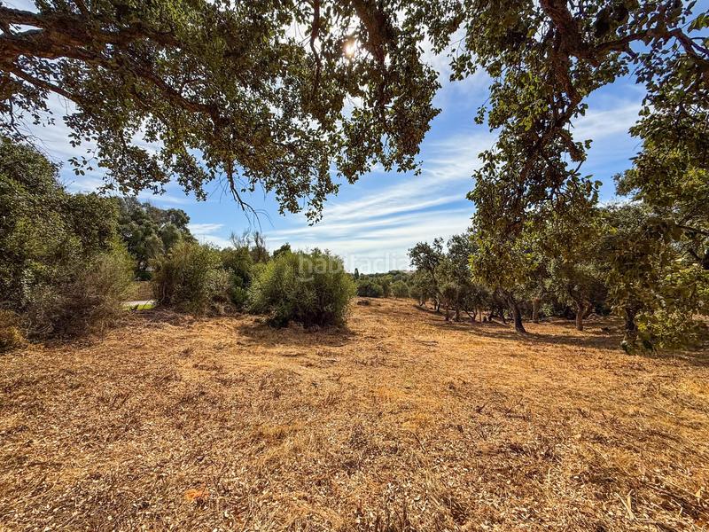 Foto 35ff05e0-af06-42a9-b64b-7374b4afe5a6. Terreny residencial a Sotogrande alto Sotogrande