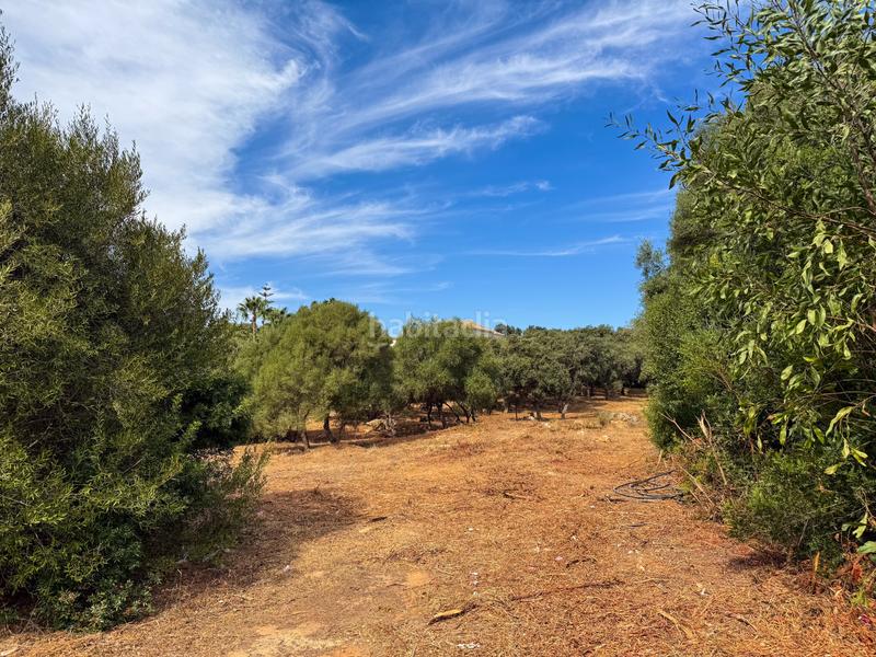 Foto 3f5f424c-617b-42fb-8633-bbe4ad5fd713. Terreny residencial a Sotogrande alto Sotogrande