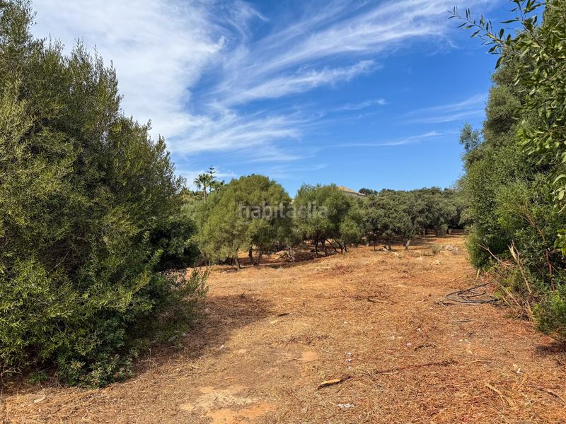 Foto 9e4e4bb8-2977-4d87-8a67-f0646770bc69. Terreny residencial a Sotogrande alto Sotogrande