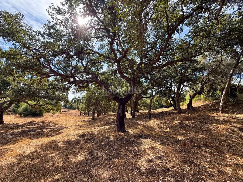 Foto b95e2724-0e81-4a57-b767-145256061e54. Terreny residencial a Sotogrande alto Sotogrande