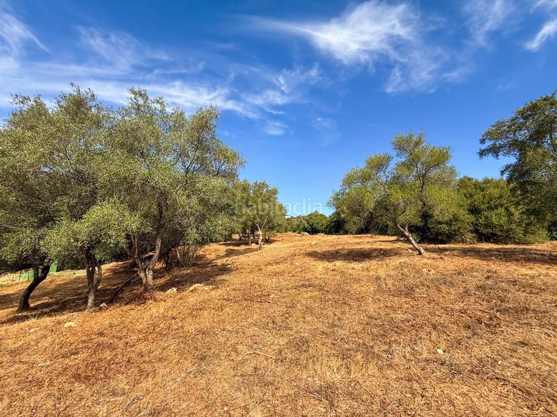 Foto c4034d65-14fb-4f65-84a0-7b9608c50027. Terreny residencial a Sotogrande alto Sotogrande