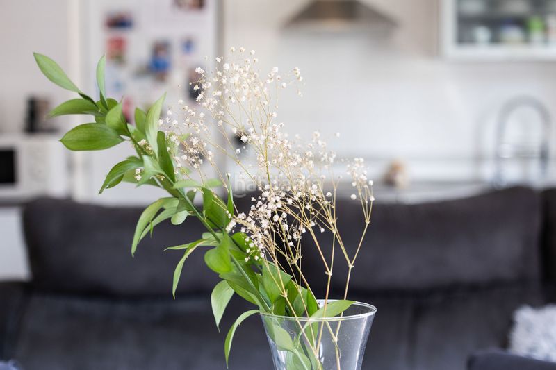 Foto c137e119-785b-4b2d-adea-cb9a06efdf1f. Apartament amb calefacció aparcament piscina a San Bernabé Algeciras