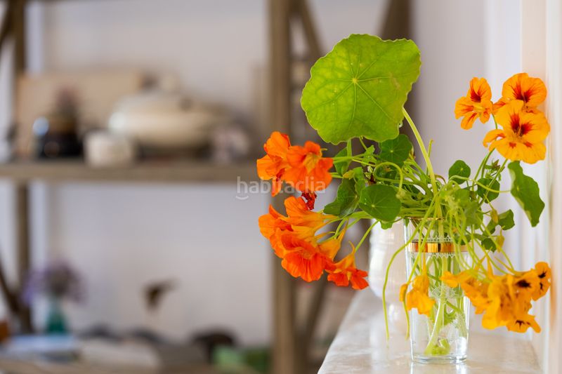 Foto 2a1c6278-88b2-4899-bb17-a181be0e179a. Casa aparellada amb aparcament piscina a La Alcaidesa