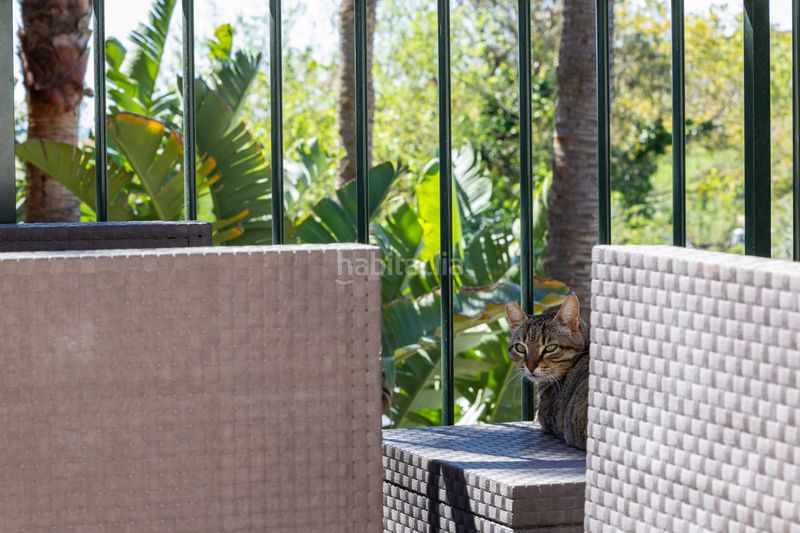 Foto 2af307e0-c7da-448d-9f95-3aa1e1bc1ab0. Casa aparellada amb aparcament piscina a La Alcaidesa