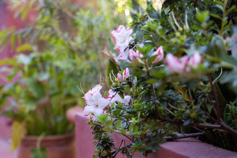 Foto bb404139-5c3b-4730-922c-21a566db404e. Casa aparellada amb aparcament piscina a La Alcaidesa