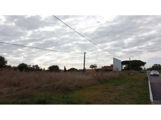 Finca rústica  Vicent asensio. Terreno urbanizable en venta en calle vicent asensio
