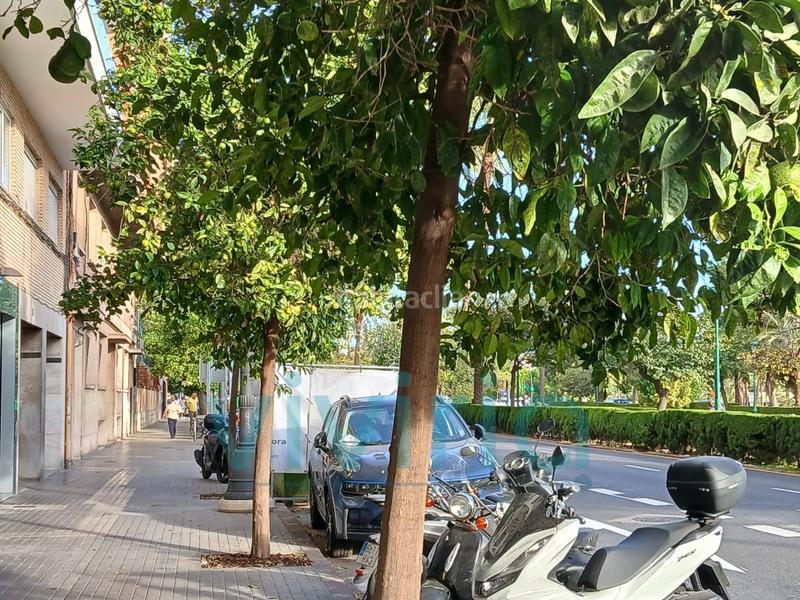 Foto 2dee9c6d-55a1-4e4d-9da5-24e70bbca502. Local commercial dans Gran Via Valencia