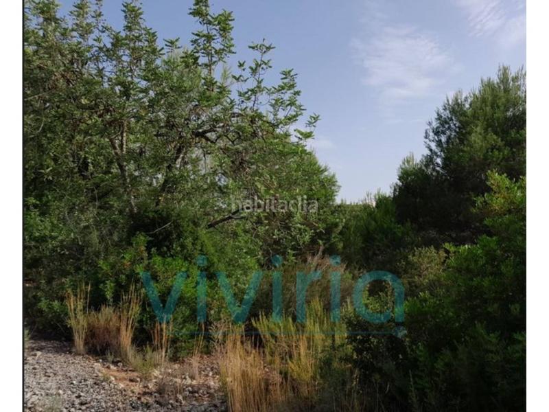 Foto 59bef1e5-456c-4db1-8c35-a200ff85f505. Terreno residencial terreno en venta, , valència en Alginet