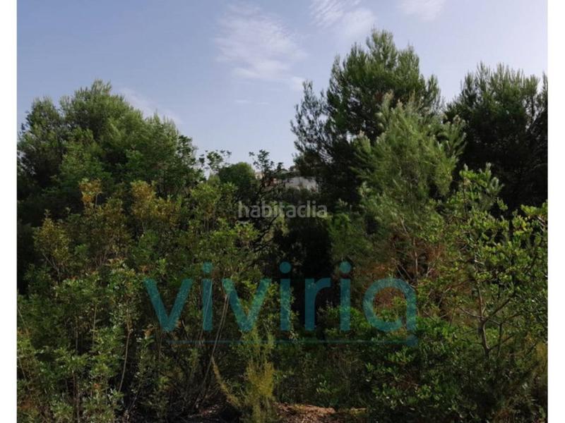 Foto aeb3db5d-7386-428d-b7b7-ee4c3ed9c3cc. Terreno residencial terreno en venta, , valència en Alginet