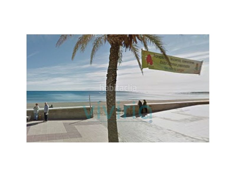 Foto 936d70bd-aeed-4561-89c1-2bd3885c9cf8. Pis a Campello Playa Campello (el)