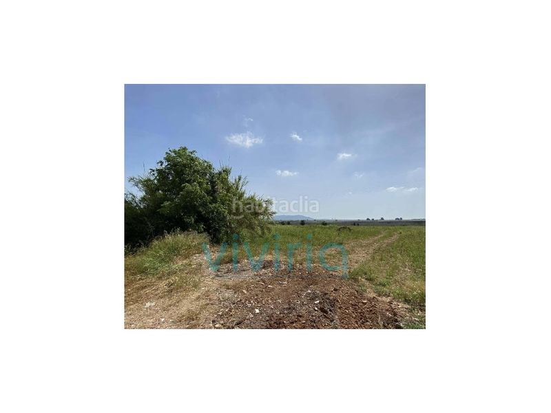 Foto bbbd0e22-a053-4d04-bfd0-9683b968c965. Terreny residencial a Llaurí