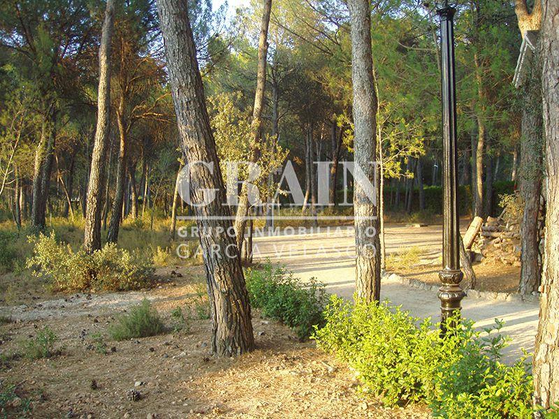 Foto 31720246-3f4b-4b44-bbc0-f7aaa4fe94dc. Xalet amb calefacció aparcament piscina a Pedanías - Extrarradio Albacete