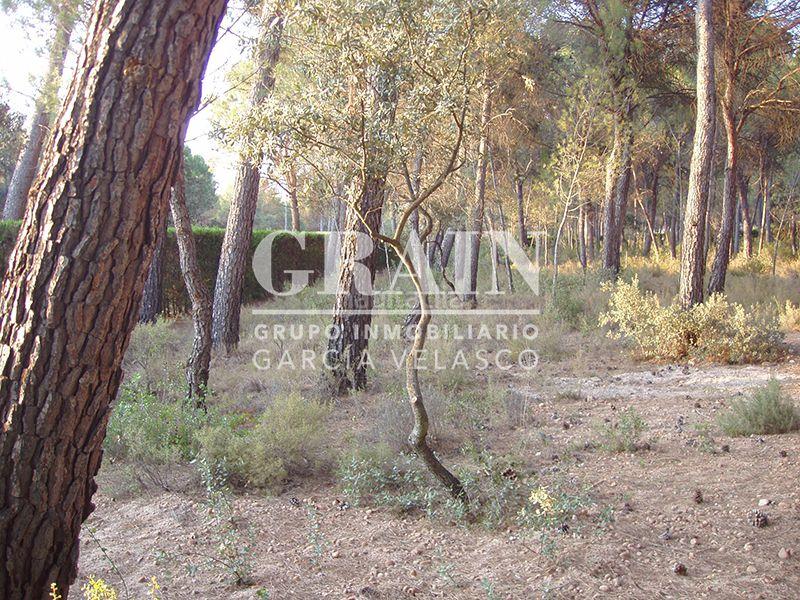 Foto 667d3dac-f48d-4721-9cfc-f35ea6bd4ee9. Xalet amb calefacció aparcament piscina a Pedanías - Extrarradio Albacete