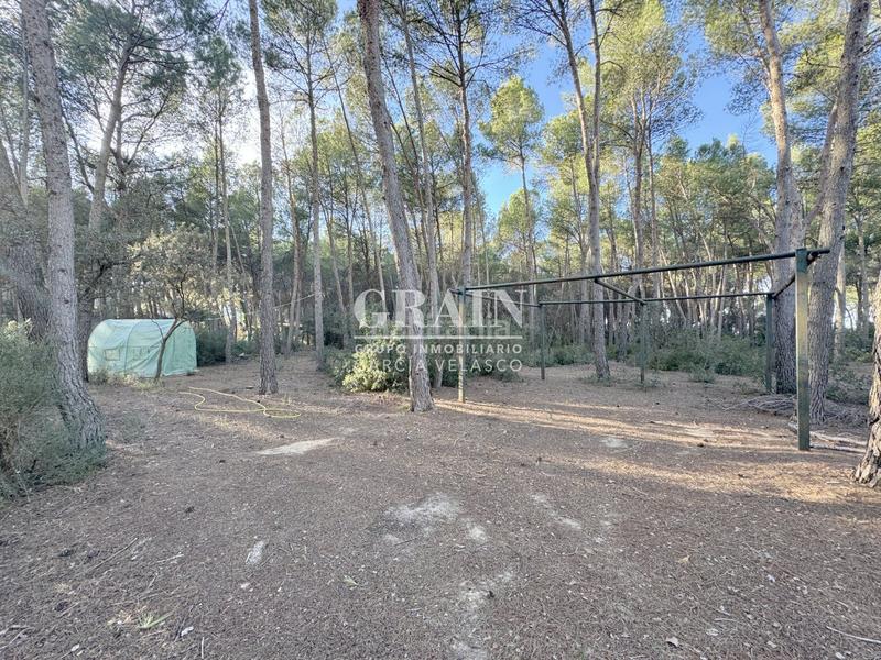 Foto 1c5c507e-07b5-462f-a769-449a3a059068. Chalet in Pedanías - Extrarradio Albacete