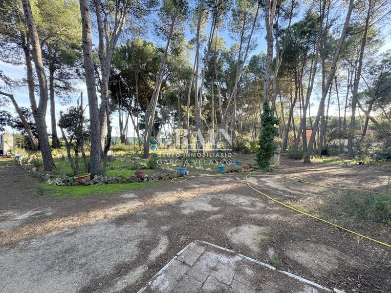 Foto 41c981a4-f0ea-4154-a18b-4dfaea0da823. Chalet in Pedanías - Extrarradio Albacete