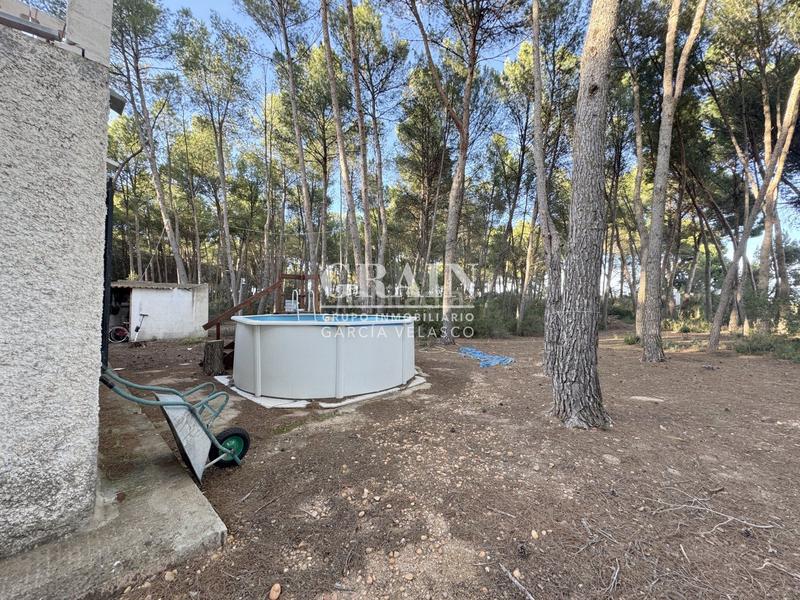 Foto 670006d2-7253-4b71-b307-8cda397962a1. Chalet in Pedanías - Extrarradio Albacete