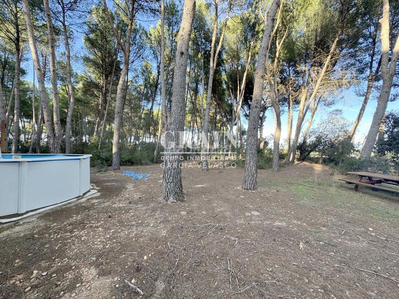 Foto d7e2b509-a9a2-48f8-b9a6-6ff99a29d696. Chalet in Pedanías - Extrarradio Albacete