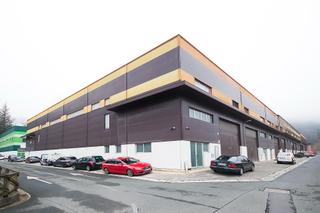 Nau industrial a Alegia