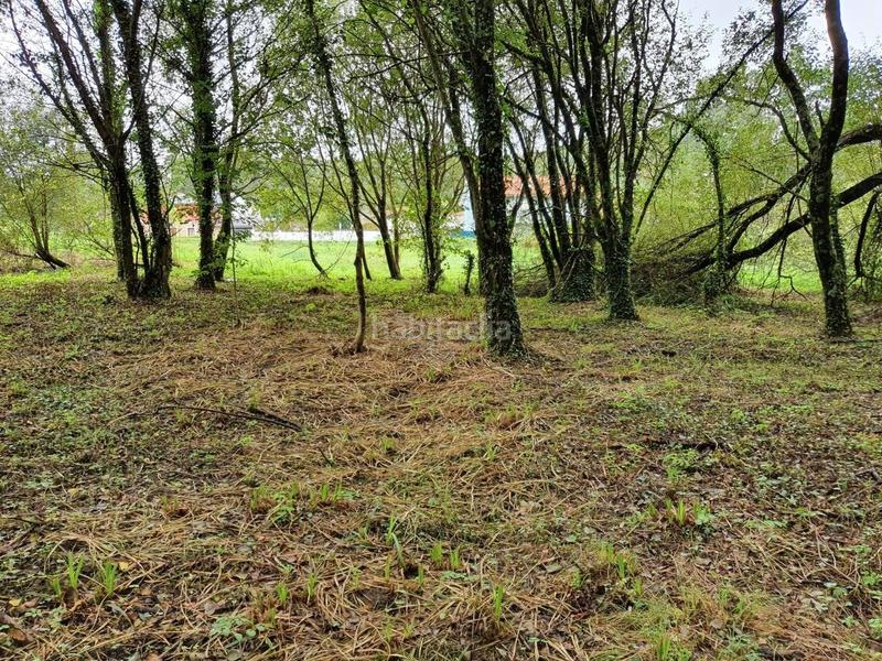 Foto dbec2c16-5c2b-4fcf-8f13-31157bee1269. Finca rústica finca en venta en presa del rey, en Narón