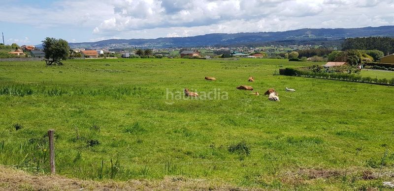 Foto 3e6f4e59-2615-4aa0-82ae-2369e236544d. Finca rústica a Valdoviño