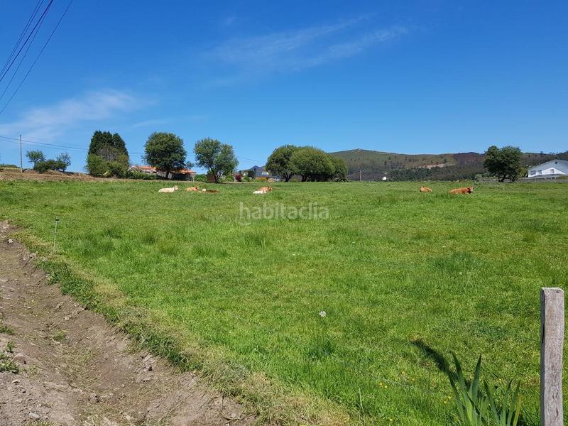 Foto 0503170a-a5eb-4cfd-a052-da1eaf4e7283. Landgut in Valdoviño