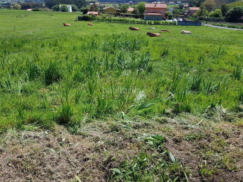 Foto 66c72b90-40e7-4908-8820-1f9ab9a5f8f7. Landgut in Valdoviño