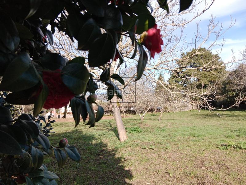 Foto 9d8d87d9-34cd-4408-b3dc-a78ea361cbb9. Terreno residencial finca edificable campolongo en Pontedeume