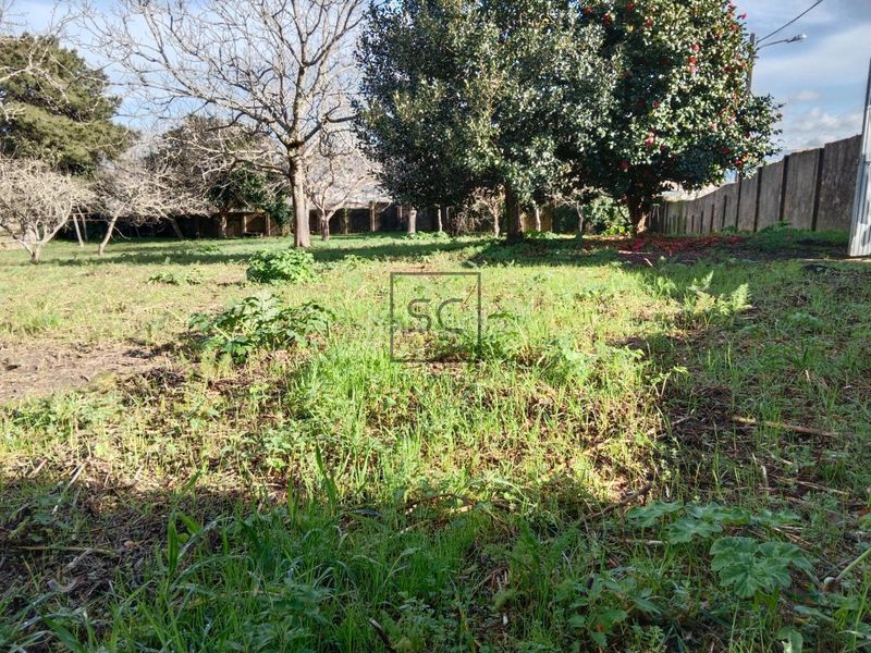 Foto 7acbb20a-370c-4e34-94fa-2a12abf6b5e9. Terreno residencial finca edificable en campolongo, en Pontedeume