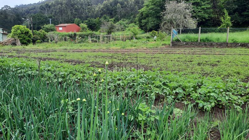 Foto 92fa8716-76b1-4121-b584-8cc8a02b5973. Casa amb aparcament a Área Rural Ferrol
