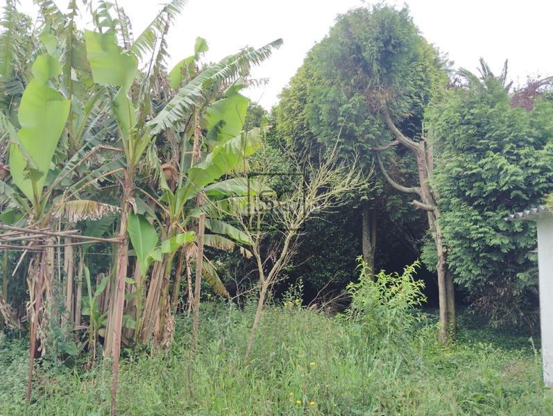 Foto 86308a36-2b10-4bd4-a952-f2874d15b0ab. Casa  con finca en san juan, en A Malata - Catabois - Ciudad Jardín Ferrol