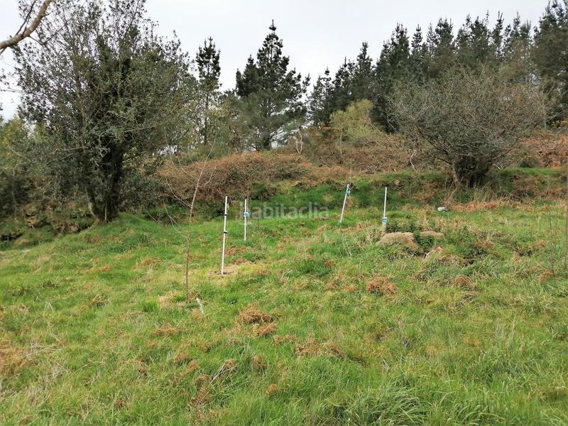 Foto 281f77bc-11dd-47ca-afba-5f82d1ddd20f. Haus in San Sadurniño