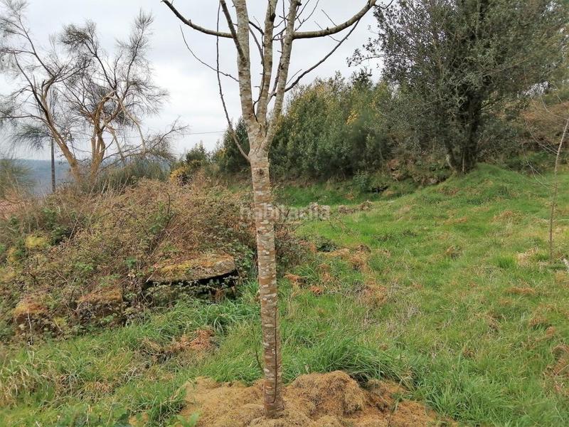 Foto 3bc6d0dc-6155-4f8f-a789-3805b4a1386b. Haus in San Sadurniño