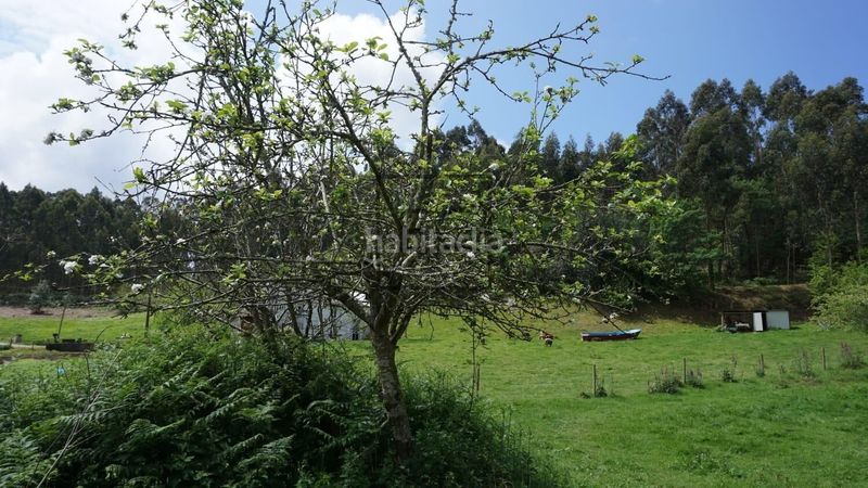 Foto 4968f90d-3424-4cd0-8cfa-9c57144be8d9. Masia a Área Rural Ferrol