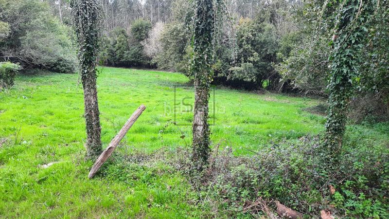 Foto 41fa7ac7-e03a-41ff-b20f-3286e9d53695. Bauernhof in San Sadurniño