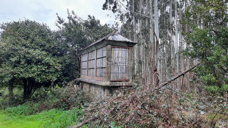 Foto c8c4b783-6940-4d25-bf38-8fe649dcca35. Bauernhof in San Sadurniño