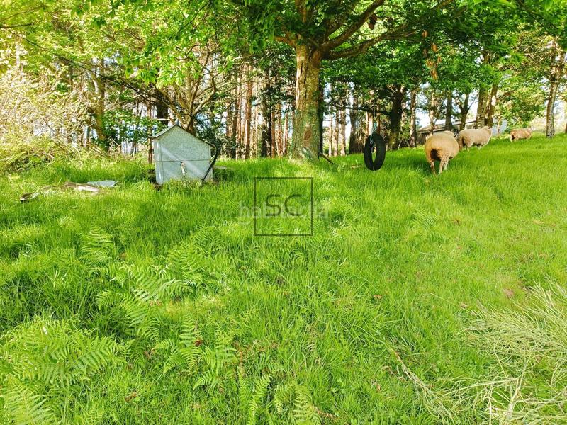 Foto 33e3e968-b364-4df2-bea0-79ebcf8b6a7d. Casa amb calefacció aparcament a Piñeiros - Freixeiro Narón