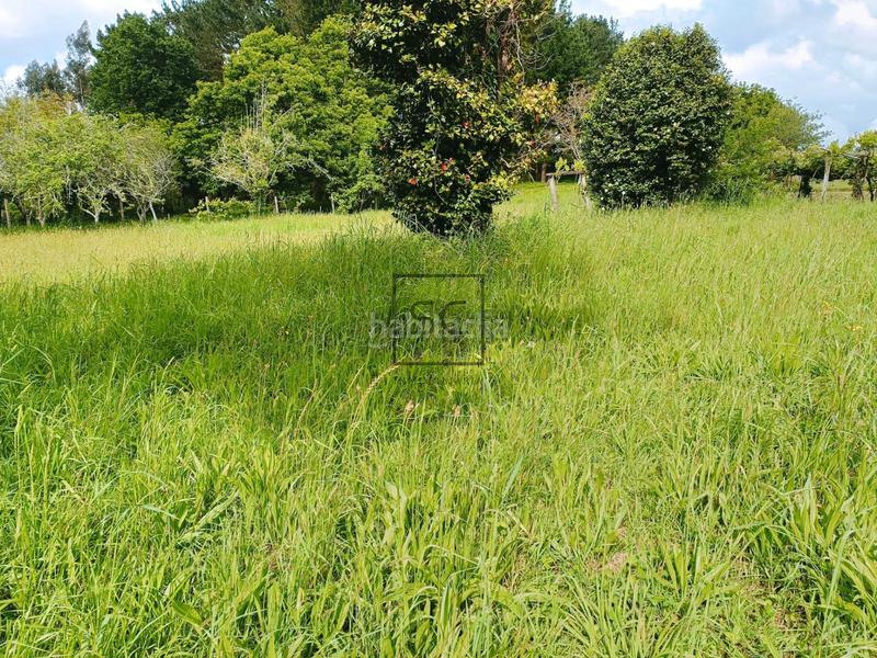 Foto 34bff6d8-77c7-486c-b5ea-811db5442092. Casa amb calefacció aparcament a Piñeiros - Freixeiro Narón