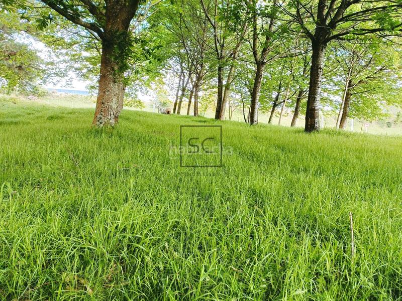 Foto a5f14659-2fb4-4ccd-b011-2b355432222e. Casa amb calefacció aparcament a Piñeiros - Freixeiro Narón