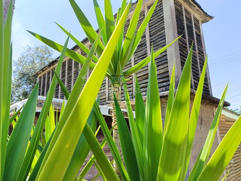 Foto e4a2c2e0-f609-4277-b6fa-fb1b938af25e. Casa  de piedra para restaurar con finca edificable en sedes, . en Narón
