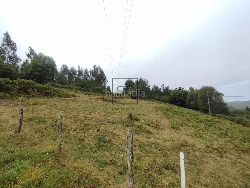 Foto 332ed988-fd18-4d7f-be64-48d26acdac9f. Casale con riscaldamento in Moeche