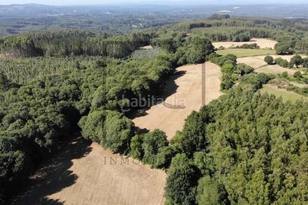 Foto 8a6317ef-f693-4dcd-bd33-5cd3fab2b7a3. Casa a Begonte