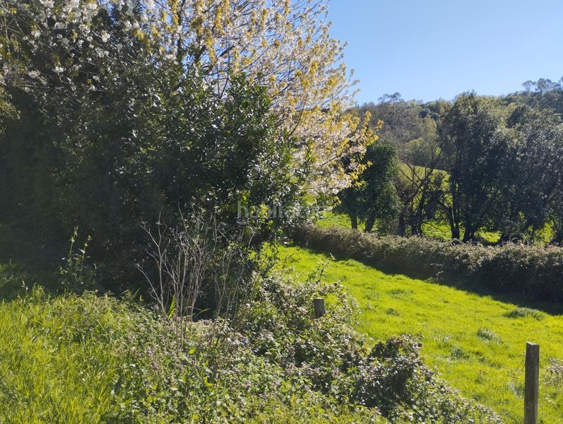 Foto 069d3295-a683-4848-a174-547d941791b6. Casa a Somozas (As)