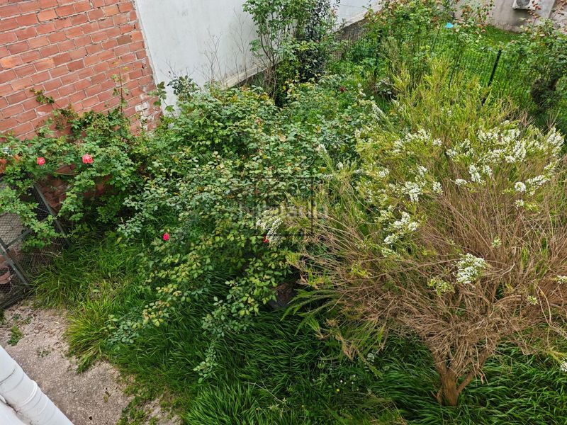 Foto bfa046a8-1536-448f-8c8b-5e882dff2de1. Casa  con jardín y garaje en Porta Nova, en Porta Nova Ferrol