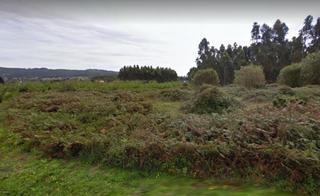 Finca rústica a Valdoviño. Finca rústica ideal para plantación en sequeiro, valdoviño