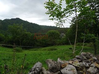 Finca rústica a San Claudio - Trubia - Las Caldas