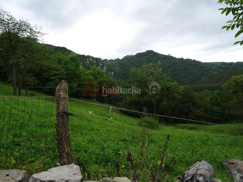 Foto d09cce67-b782-4db7-af0a-a8c1258caac3. Finca rústica a San Claudio - Trubia - Las Caldas Oviedo